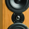 Krix Acoustix Main 2-way 3-driver bookshelf speakers.